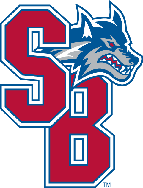 Stony Brook Seawolves 2008-Pres Secondary Logo diy iron on heat transfer